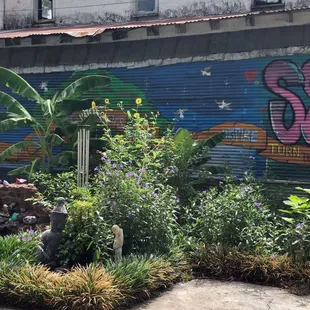 The outside garden area