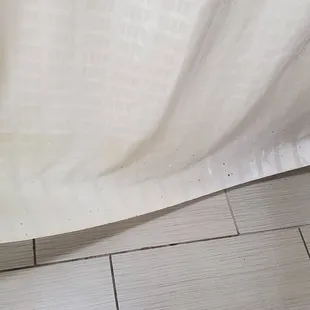 Shower curtain dirty and moldy along bottom. Definitely hasn&apos;t been washed in a long time!