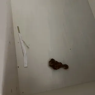 Old fried chicken and a seemingly used popsicle stick in the dresser drawer of my room.