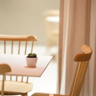 a small potted plant on a table