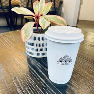 a cup of coffee and a plant on a table