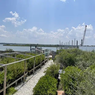 From the picnic area