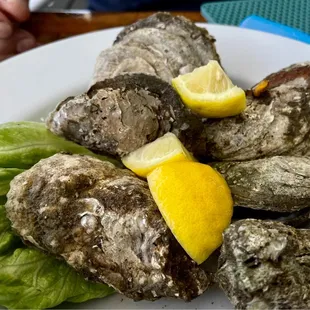 Steamed Oysters