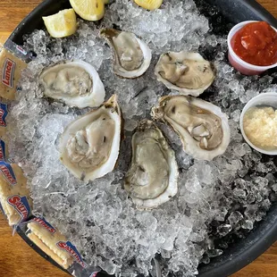 Raw Oysters