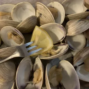 Steamed Clams