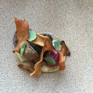 Marjoram