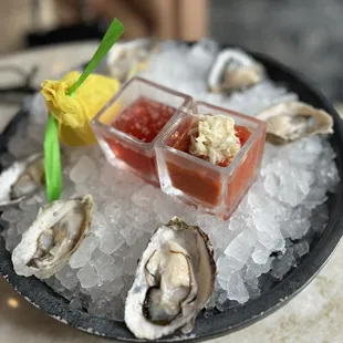 Oysters*