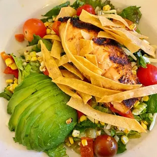 Salmon fiesta salad