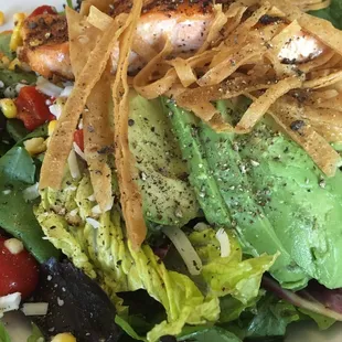Santa Fe Salmon Salad