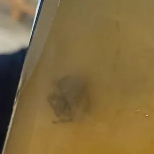 Just nasty. Huge spider in my drink