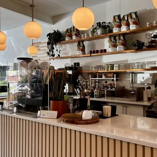 The coffee bar is peppered with live plants and feels so relaxing