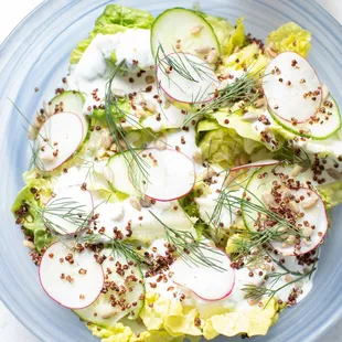 Little Gem Lettuce Salad