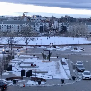 Winter in commons park and dogs playing in the snow!