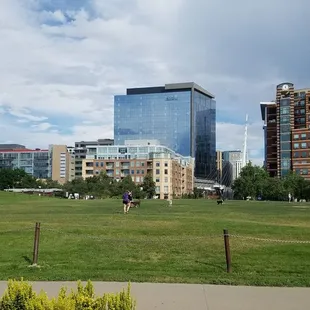 A popular spot for pet parents.