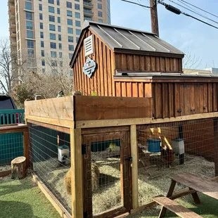 Chicken coup in the back yard!!!
