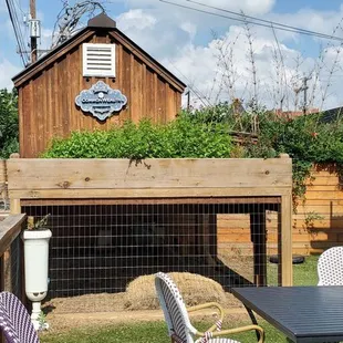 On site chicken coop.