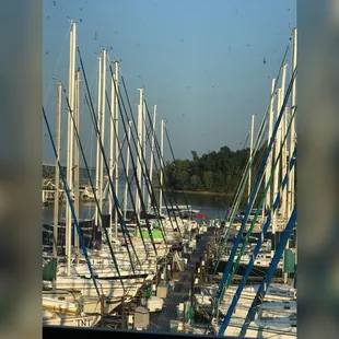 a lot of sailboats docked in a marina