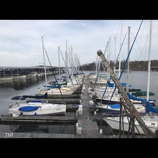 a dock full of boats