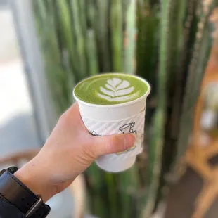 Matcha Latte