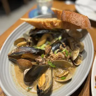 Clams &amp; mussels