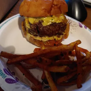 There were a lot more fries. I just put a few on the plate.