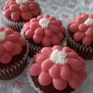 cupcakes, food, dessert