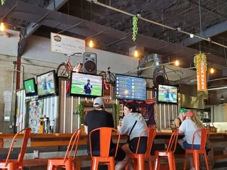 Three Odd Guys Brewing