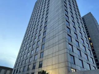 Hilton Whale Wall Lot