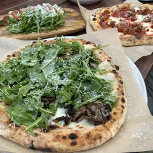 Mushroom & Truffle Pizza