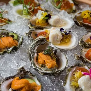 shellfish, oysters and mussels, food, oysters, mussels