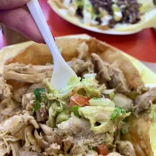 Asada Fries, Taco Salad with Chicken