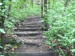 Three Rivers Park District