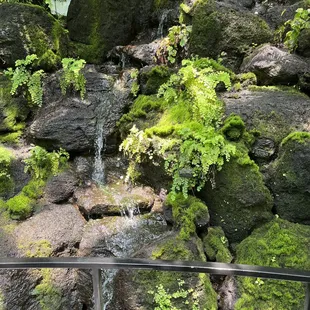 Waterfall