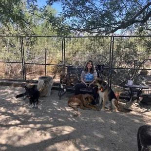 Dogs and staff member