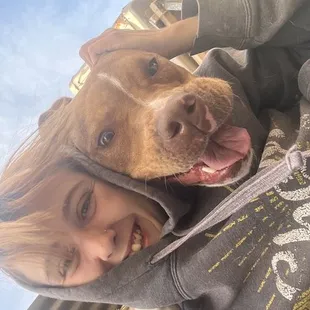 Dogs and staff member