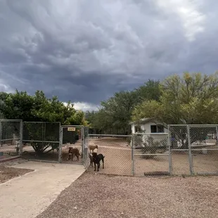 Side view of front courtyard
