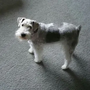Mac when he was younger