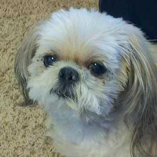 Max