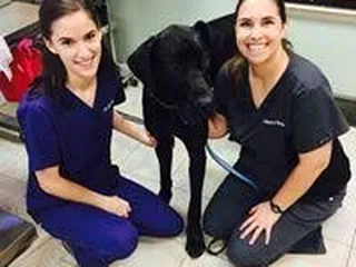 Herndon Veterinary Clinic