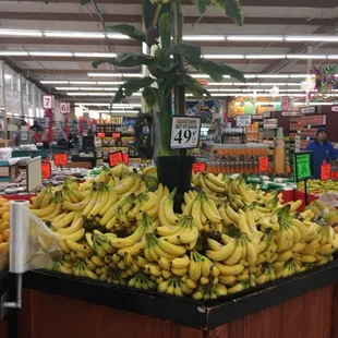 Fresh bananas