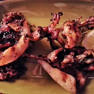 Grilled Calamari