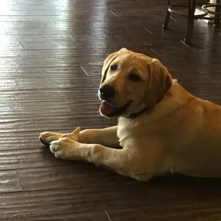 Wood look porcelain tile