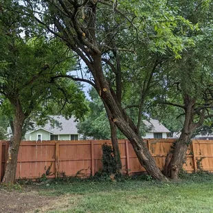 Complete Tree Care & Landscaping