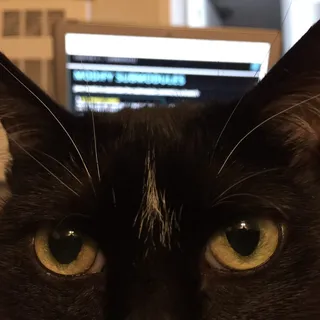 B C.