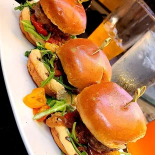 Bison sliders