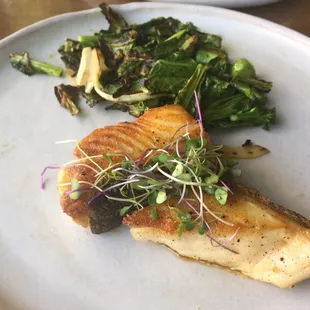 Black Cod