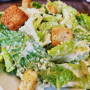 Caesar Salad (Small) -- Romaine, Parmesan,Croutons, Caesar dressing