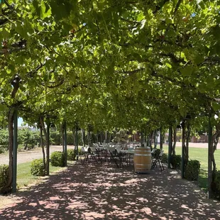 The beautiful grounds