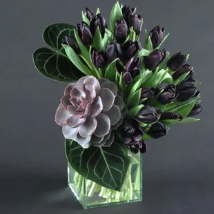 Tulips and succulents