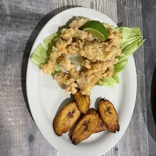 oysters and mussels, food